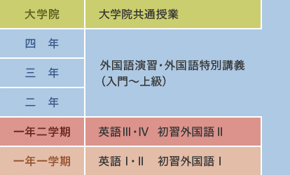 外国語授業と外国語演習の流れ　一年一学期：英語Ⅰ・Ⅱ、初習外国語、一年二学期：英語Ⅲ・Ⅳ、初習外国語Ⅱ、二年～四年：外国語演習・外国語特別講義（入門～上級）、大学院：大学院共通授業